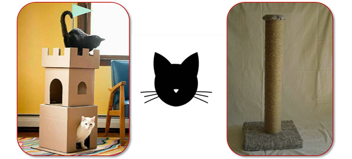 Recycle verpakkingen voor je huisdieren, zoals katten
