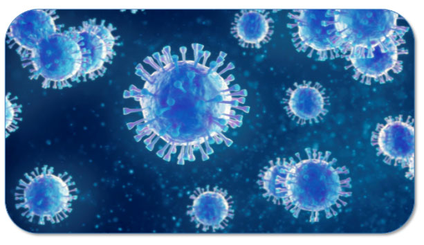 Een goede handhygiëne is essentieel bij de bestrijding van virussen. 