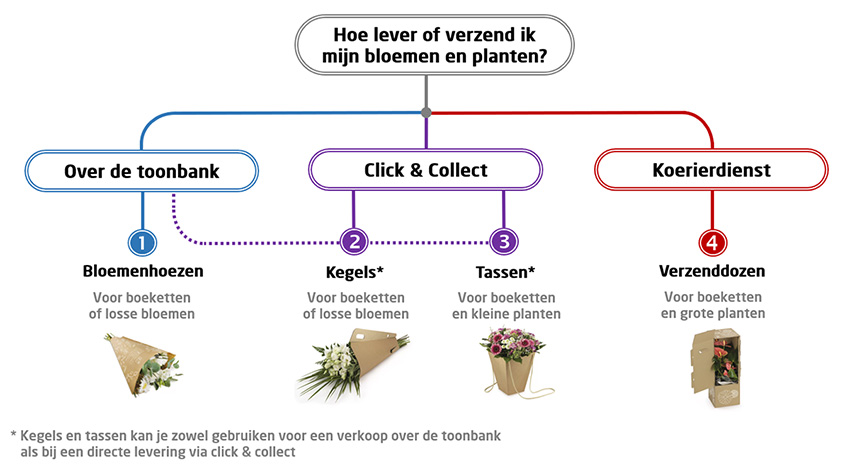 Keuzegids van verpakkingen voor bloemen, planten en boeketten